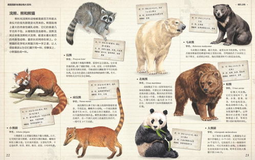 国家地理用1600张手绘图,把动物世界搬到书里
